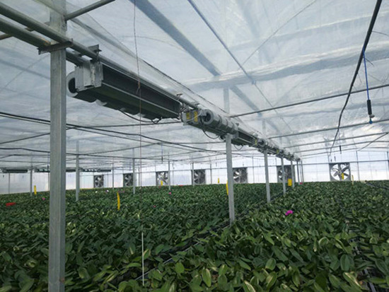 農(nóng)業(yè)種植、養(yǎng)殖供暖系統(tǒng)